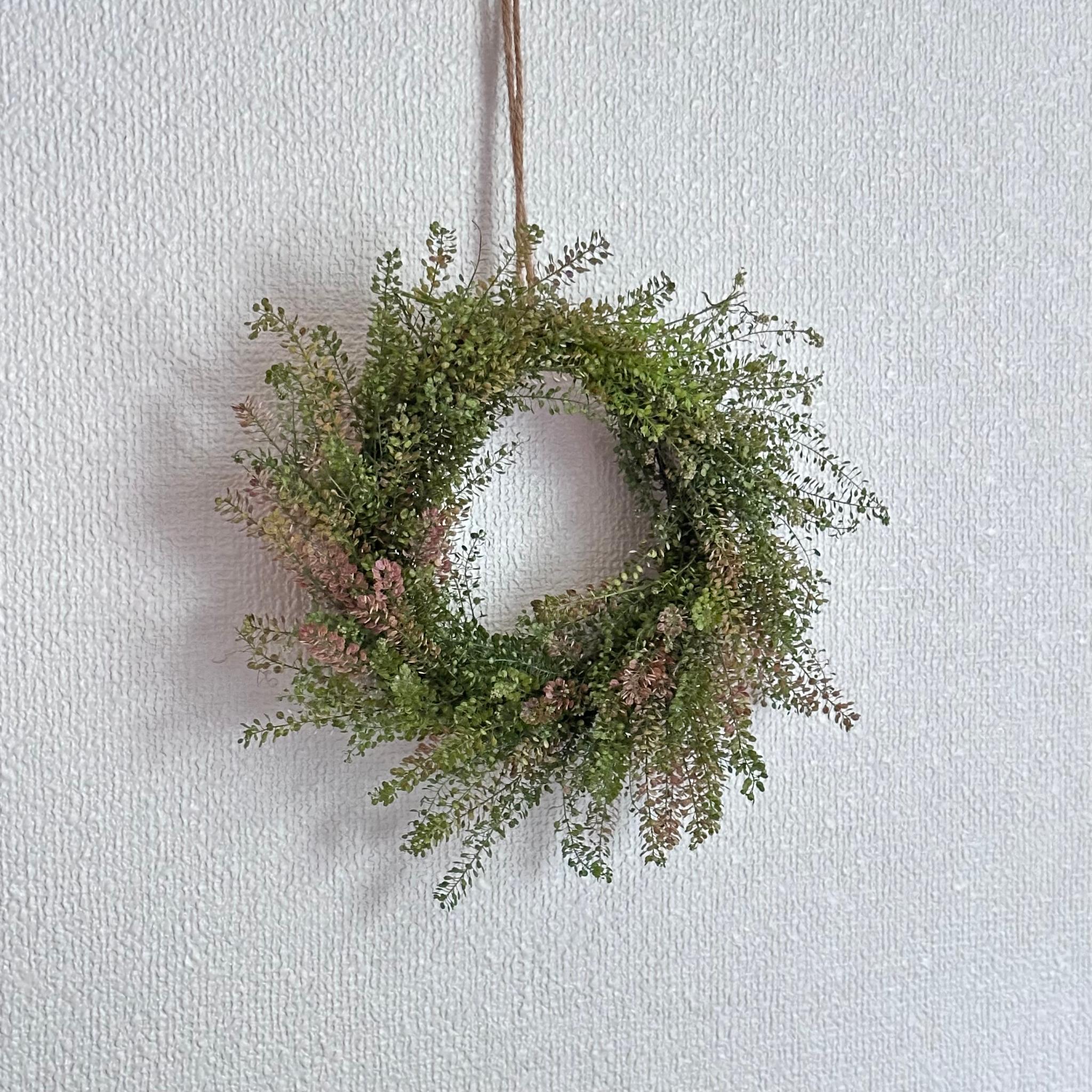 ドライフラワー野の花ナチュラルリース | 3枚目