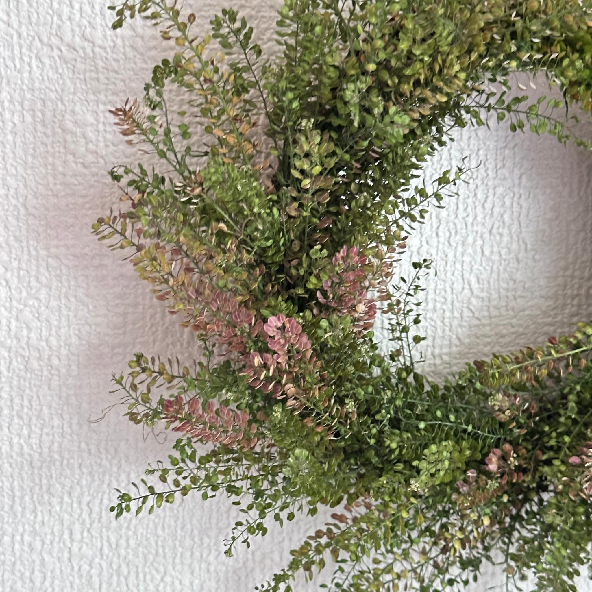 ドライフラワー野の花ナチュラルリース | 4枚目