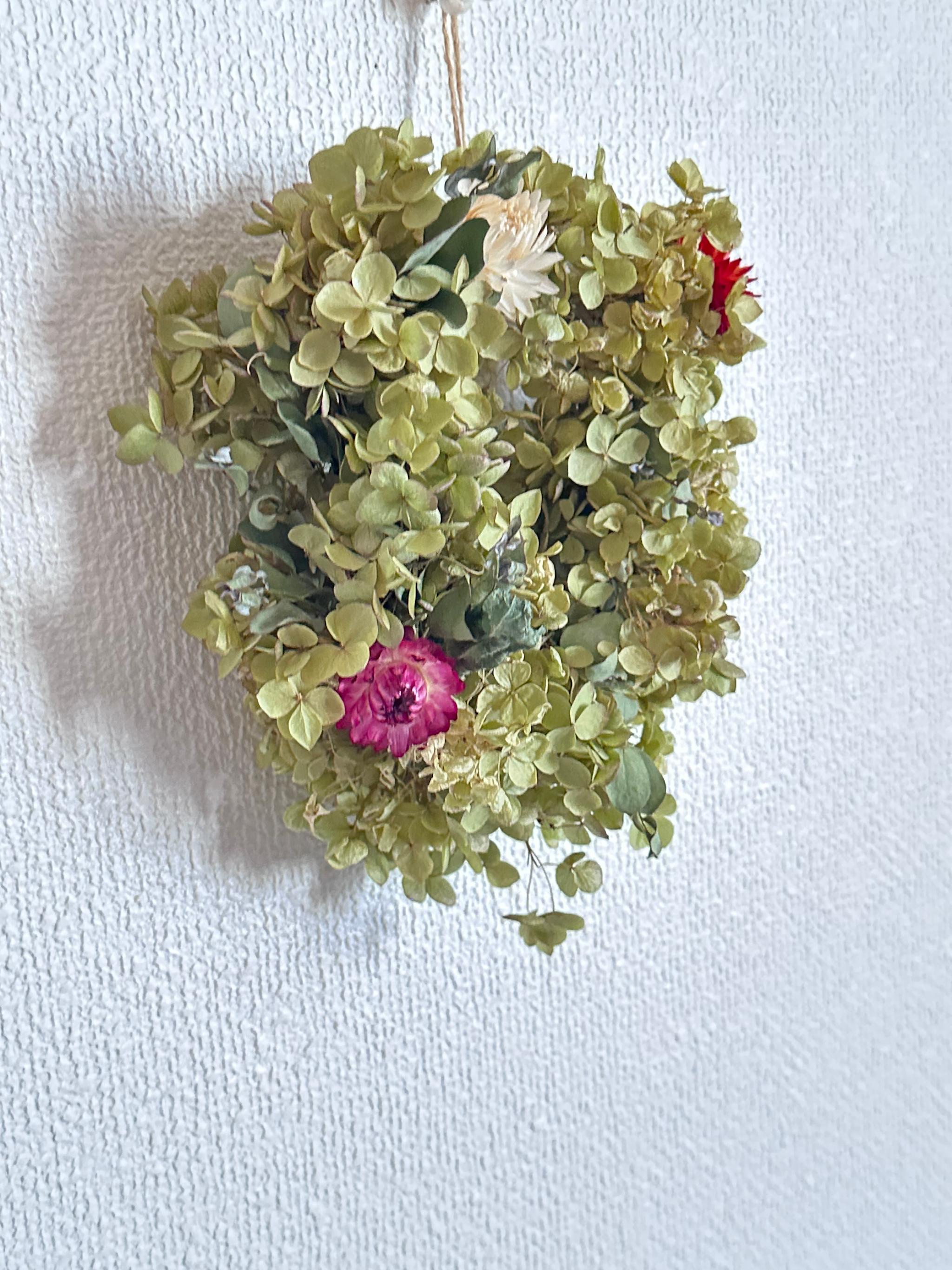 ドライフラワー紫陽花(アナベルリース) | 2枚目
