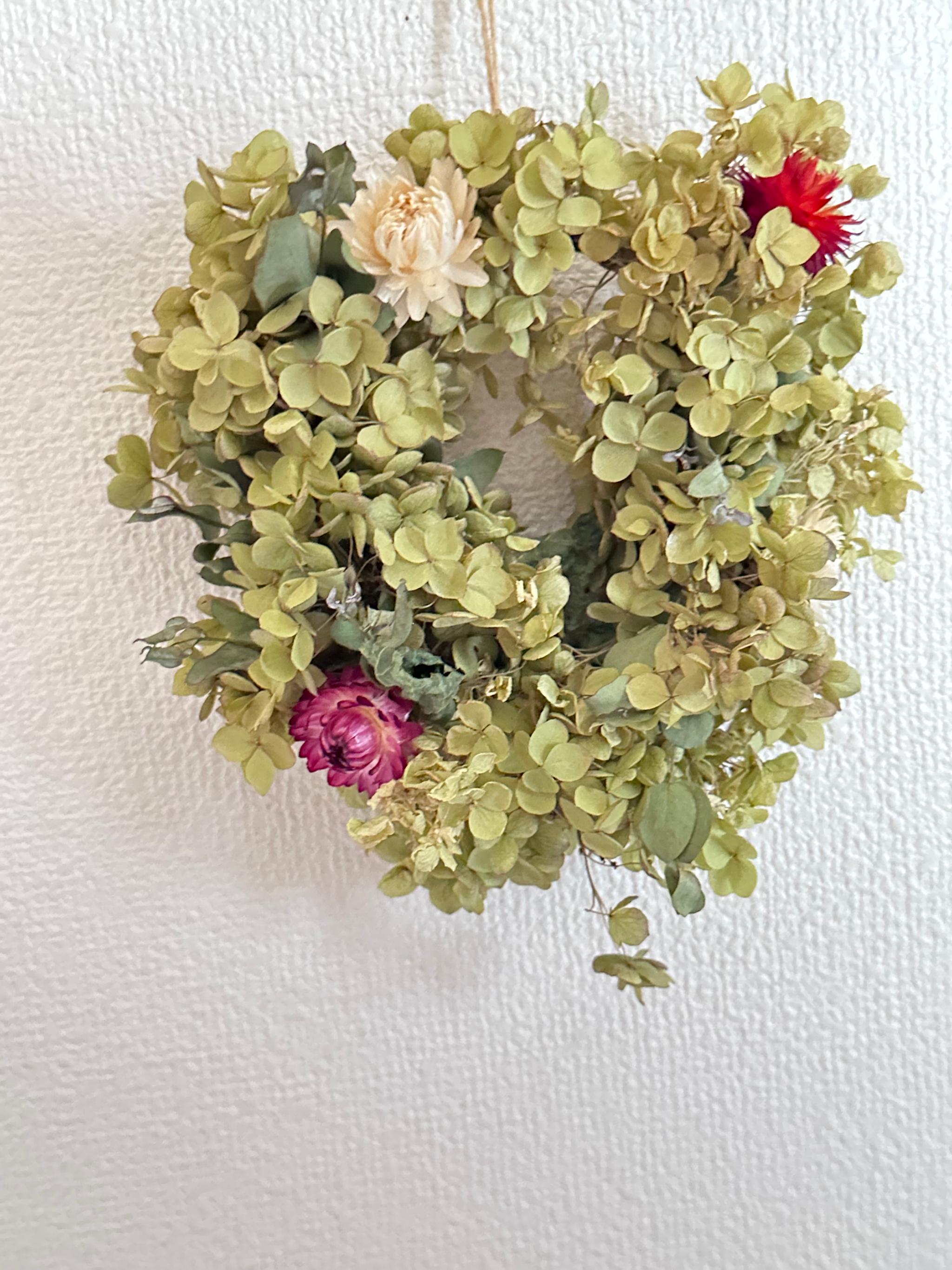 ドライフラワー紫陽花(アナベルリース) | 3枚目
